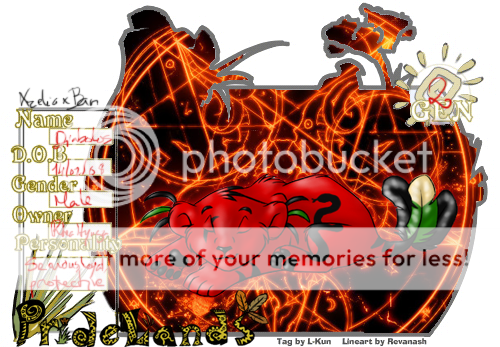 User Image